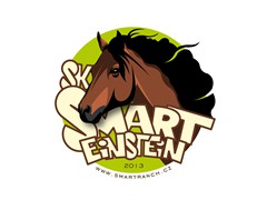 Smart ranch - SK Smart Einstein